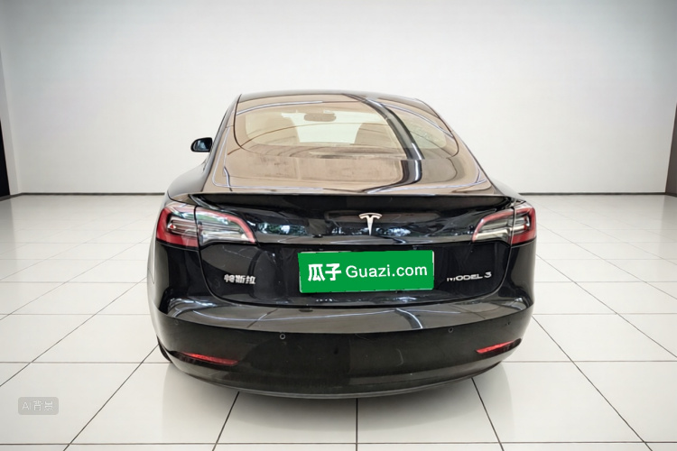 Tesla Model 3 2021 car image #6