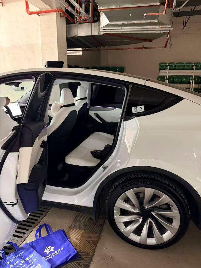 Tesla Model Y 2025 car image #3