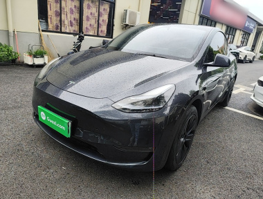 Tesla Model Y 2024 car image 