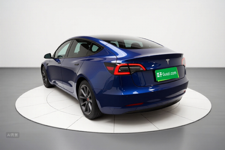 Tesla Model 3 2021 #5 Tesla Model 3 2021 car image #5