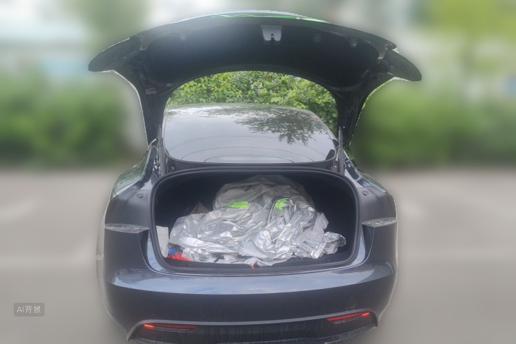 Tesla Model 3 2025 car image #21