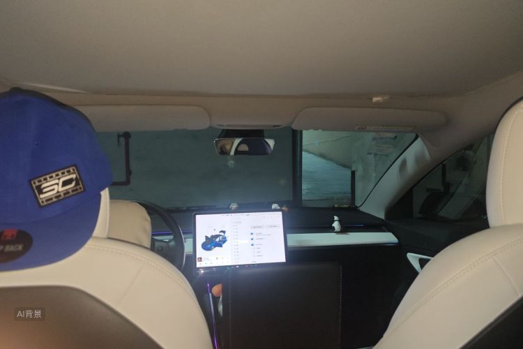Tesla Model 3 2020 #20 Tesla Model 3 2020 car image #20
