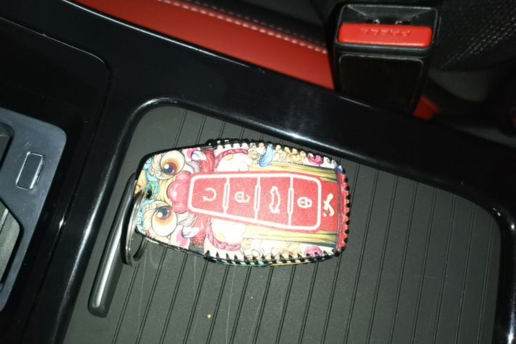 GEELY Emgrand GS 2020 #9 GEELY Emgrand GS 2020 car image #9