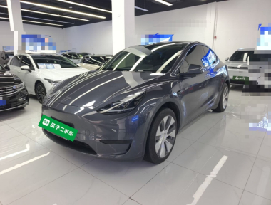 Tesla Model Y 2023 car image 