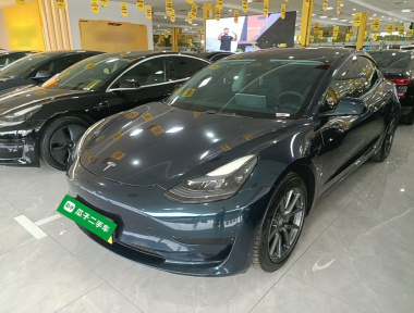 Tesla Model 3 2023 car image 