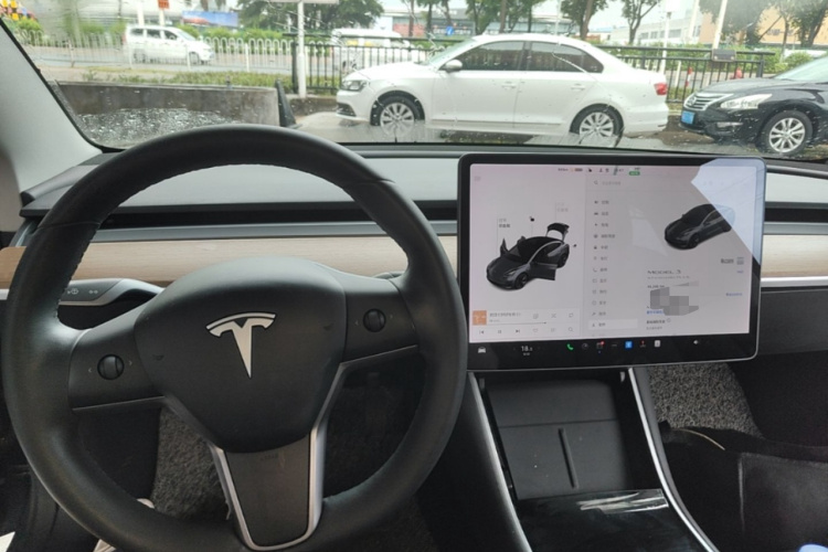 Tesla Model 3 2020 car image #10