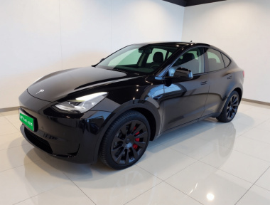 Tesla Model Y 2023 Tesla Model Y 2023 car image