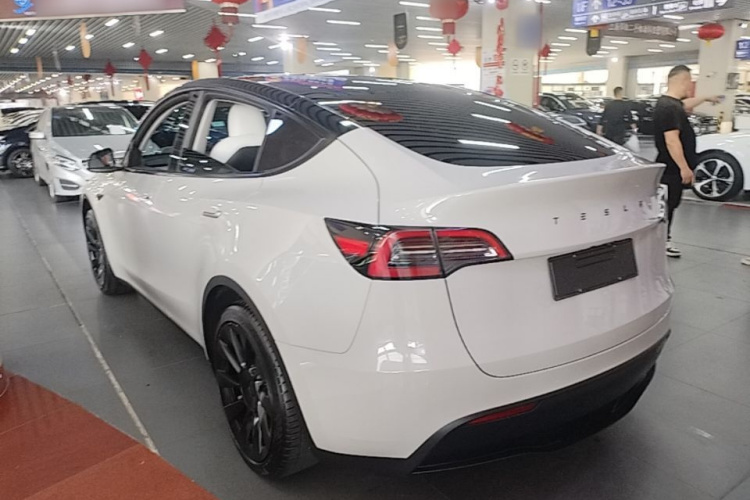 Tesla Model Y 2023 #7 Tesla Model Y 2023 car image #7