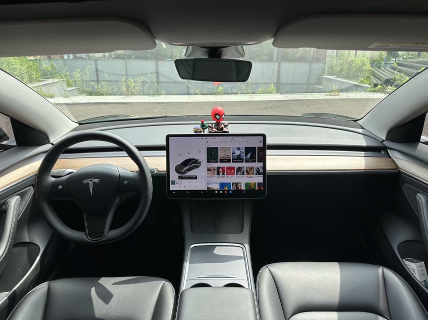 Tesla Model 3 2021 car image #5