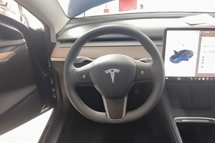 Tesla Model 3 2021 car image #15
