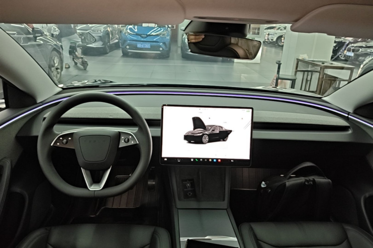 Tesla Model 3 2023 car image #10