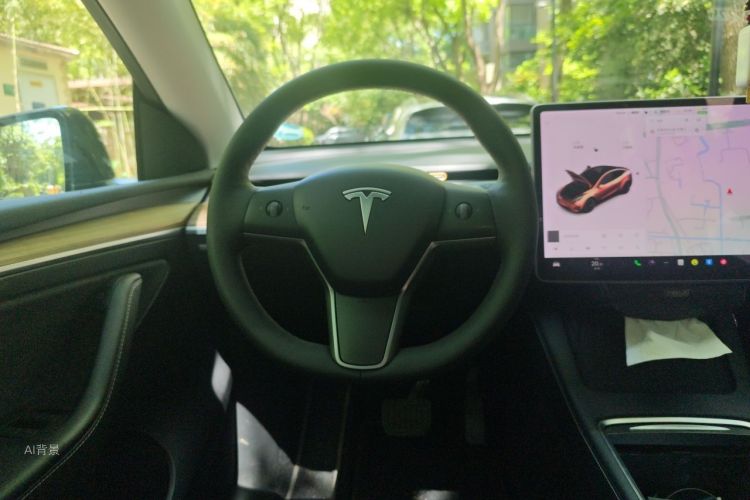 Tesla Model Y 2021 car image #12