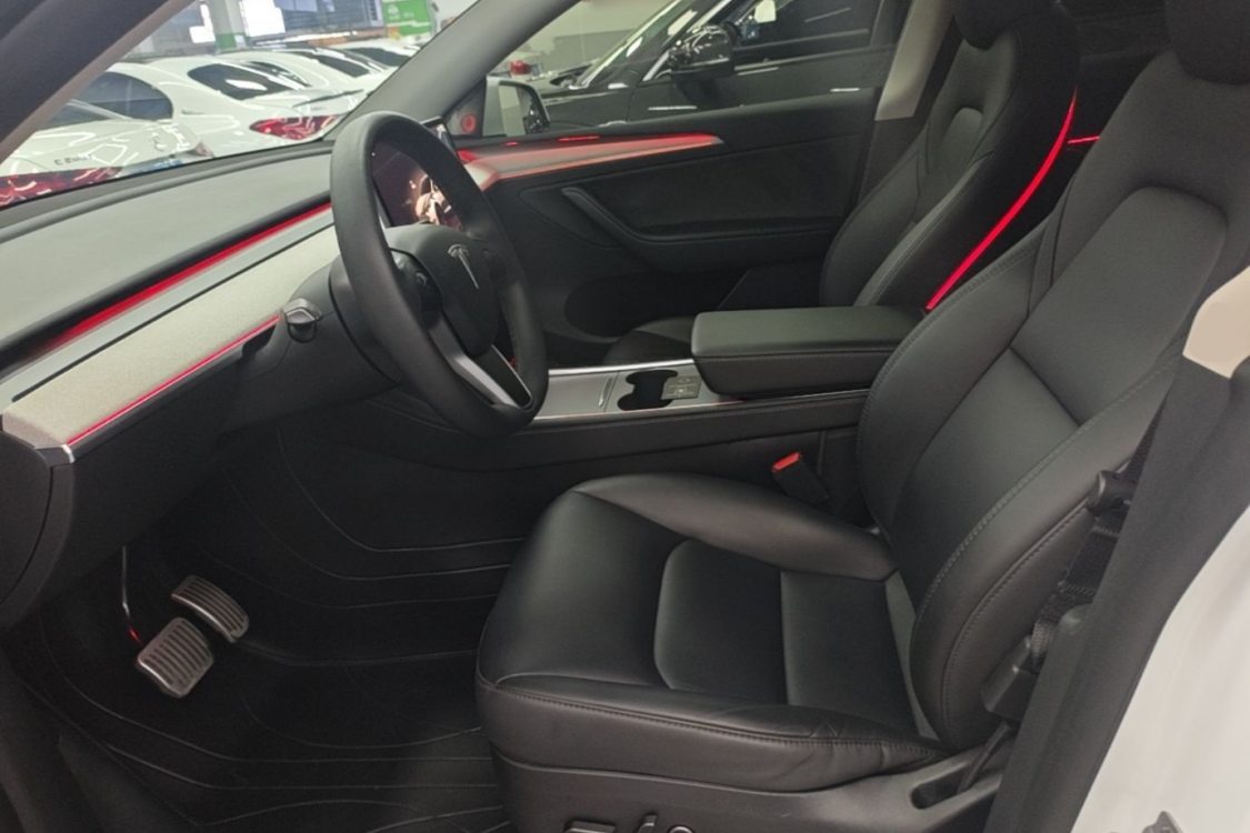 Tesla Model Y 2024 car image #12