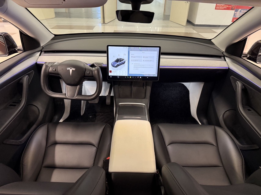 Tesla Model Y 2024 immagine di auto #9
