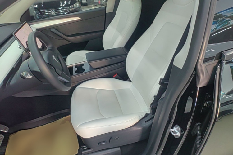 Tesla Model Y 2021 #19 Tesla Model Y 2021 car image #19