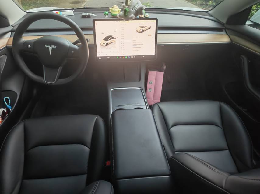 Tesla Model 3 2022 #6 Tesla Model 3 2022 car image #6