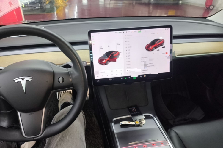 Tesla Model 3 2021 #11 Tesla Model 3 2021 car image #11