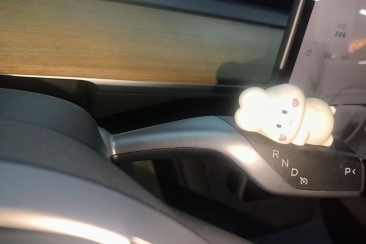 Tesla Model 3 2023 #14 Tesla Model 3 2023 car image #14