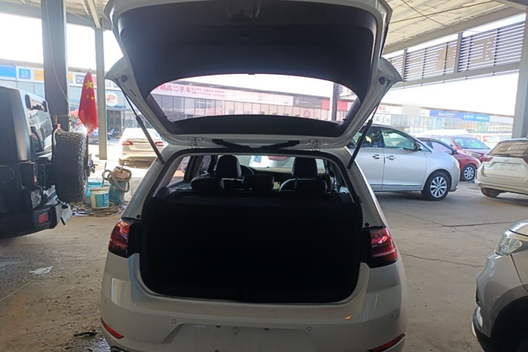 Volkswagen Golf 2019 #19 Volkswagen Golf 2019 car image #19