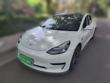 Tesla Model 3 2020 Tesla Model 3 2020 car image