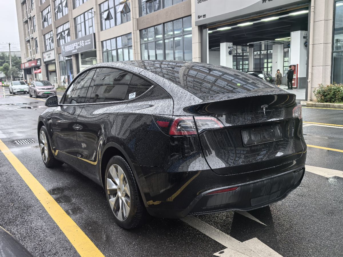 Tesla Model Y 2022 car image #12