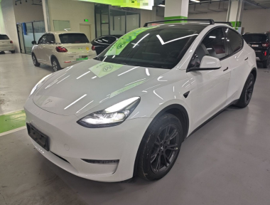 Tesla Model Y 2024 car image 