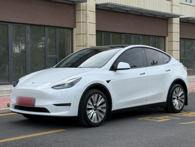 Tesla Model Y 2024 Tesla Model Y 2024 car image