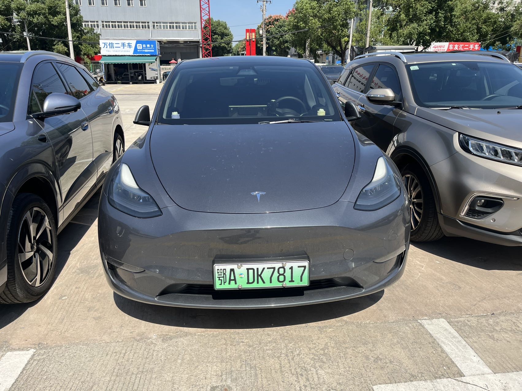 Tesla Model Y 2021 #2 Tesla Model Y 2021 car image #2