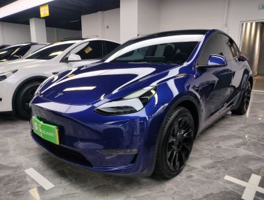 Tesla Model Y 2022 Tesla Model Y 2022 car image