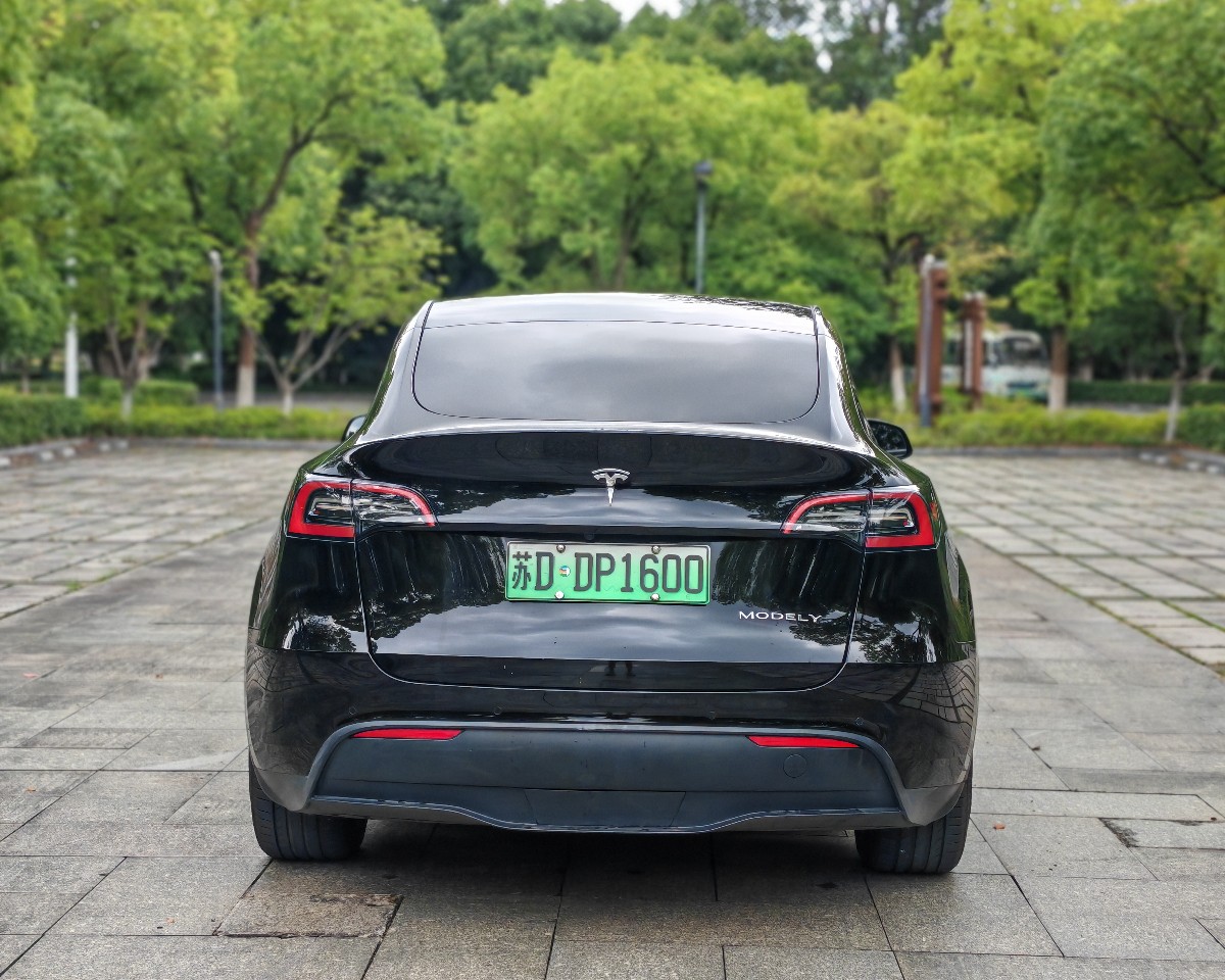 Tesla Model Y 2022 #9 Tesla Model Y 2022 car image #9