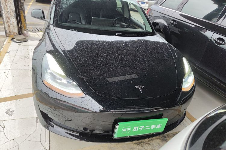 Tesla Model 3 2021 #3 Tesla Model 3 2021 car image #3