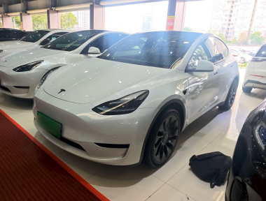 Tesla Model Y 2023 immagine di auto 