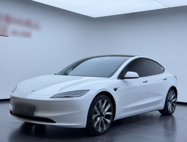 Tesla Model 3 2024 car image 