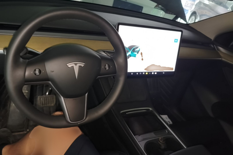 Tesla Model Y 2022 car image #10