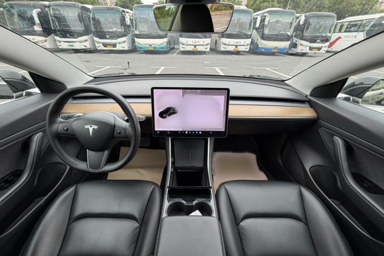 Tesla Model 3 2020 imagem de carro #10