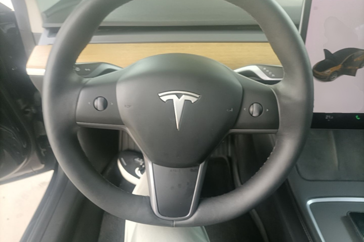 Tesla Model 3 2021 #11 Tesla Model 3 2021 car image #11
