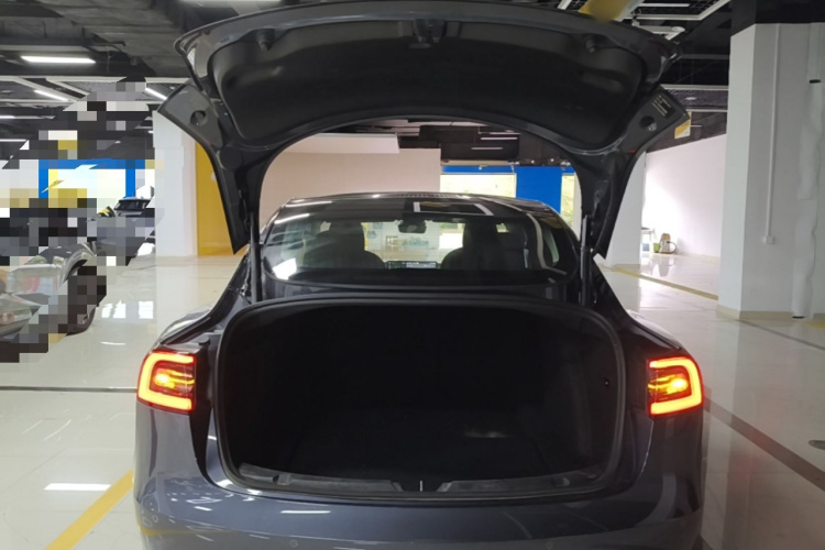 Tesla Model 3 2020 car image #19