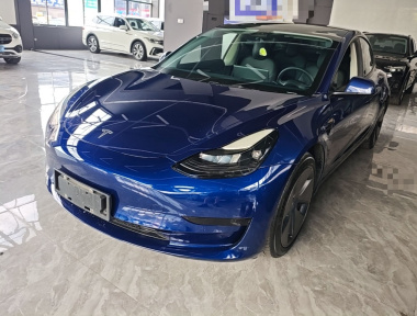 Tesla Model 3 2021 Tesla Model 3 2021 car image