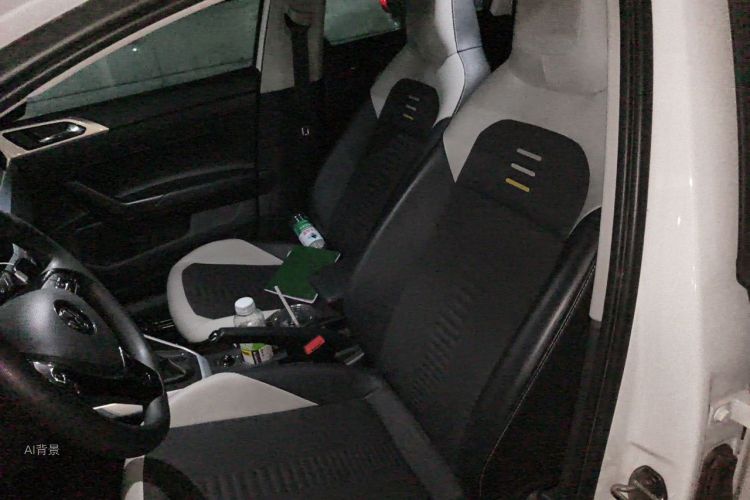 Volkswagen Polo 2019 car image #17