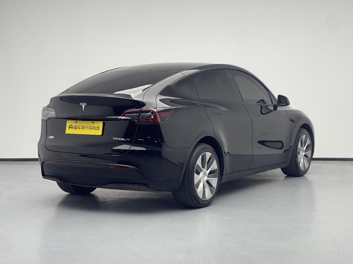 Tesla Model Y 2021 #9 Tesla Model Y 2021 car image #9