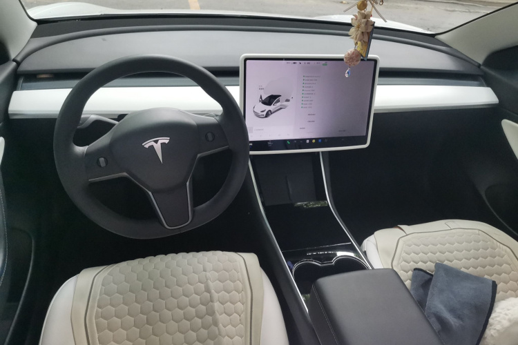 Tesla Model 3 2020 car image #12