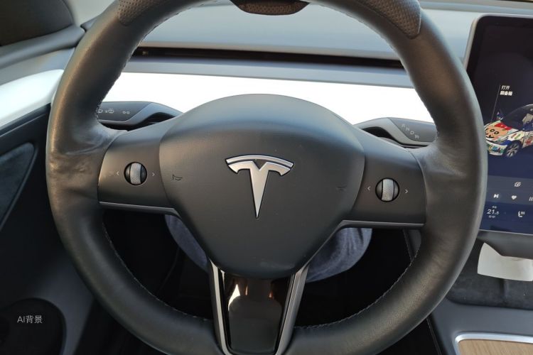 Tesla Model Y 2021 car image #12
