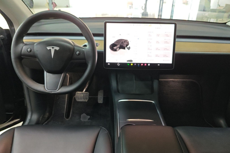 Tesla Model Y 2022 car image #11
