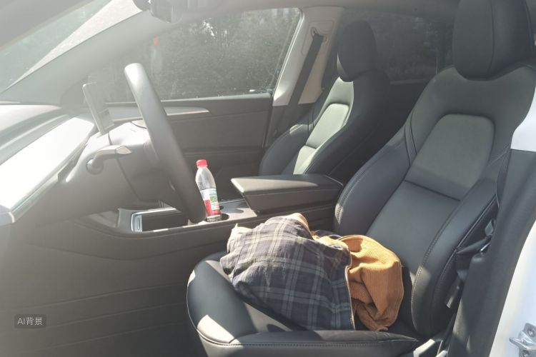 Tesla Model Y 2024 car image #17