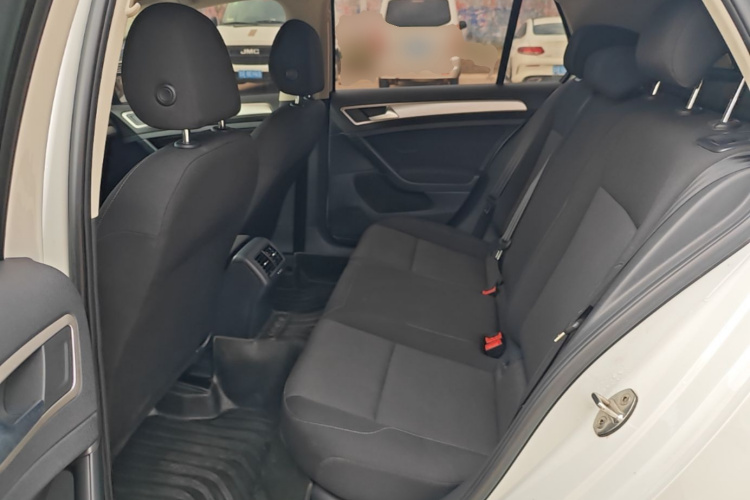 Volkswagen Golf 2019 car image #13