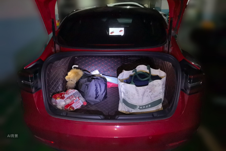 Tesla Model 3 2020 car image #21