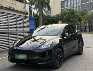 Tesla Model Y 2023 Tesla Model Y 2023 car image