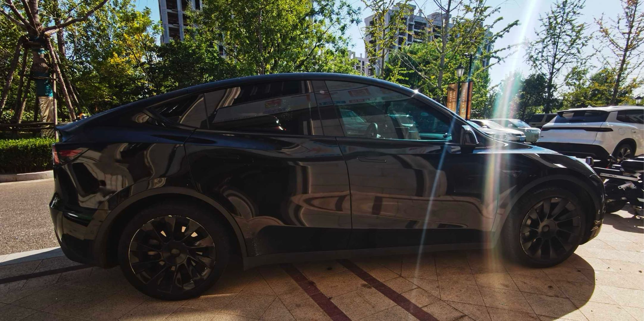Tesla Model Y 2022 #12 Tesla Model Y 2022 car image #12