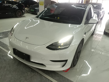Tesla Model 3 2022 Tesla Model 3 2022 car image