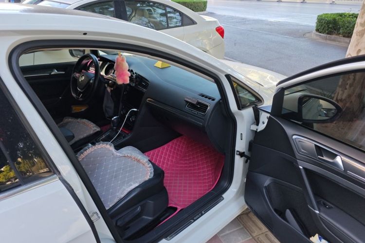 Volkswagen Golf 2019 car image #21